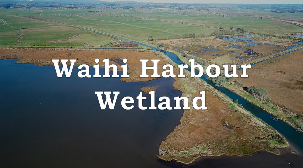 Aerial wetland photo with text