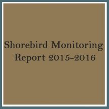 Shorebird 2015 2016